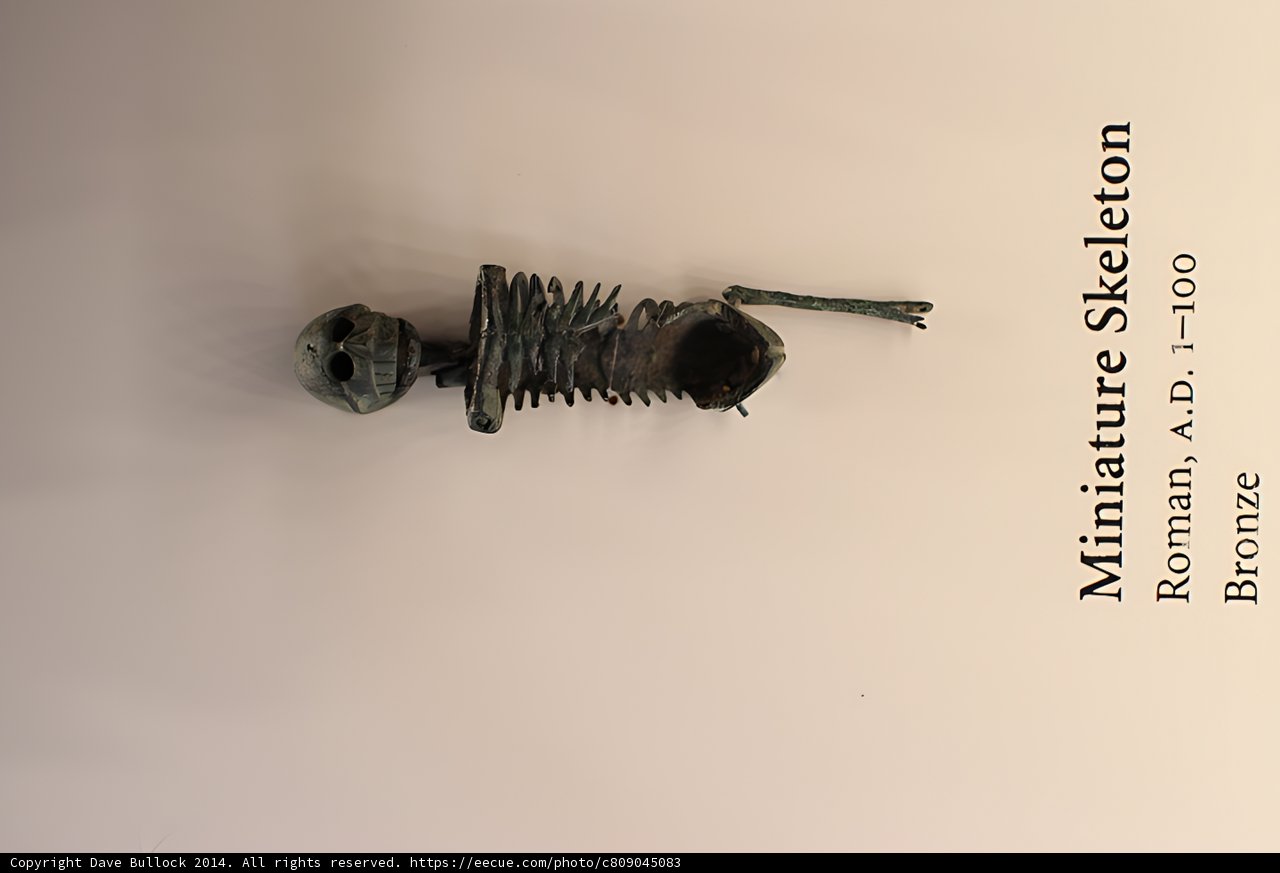 Metal Insect Weapon