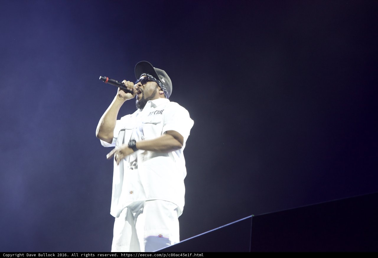 Solo Performance Under the Coachella Spotlight