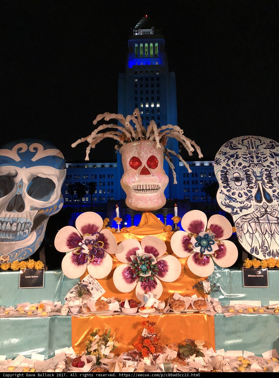 Skulls and Flowers