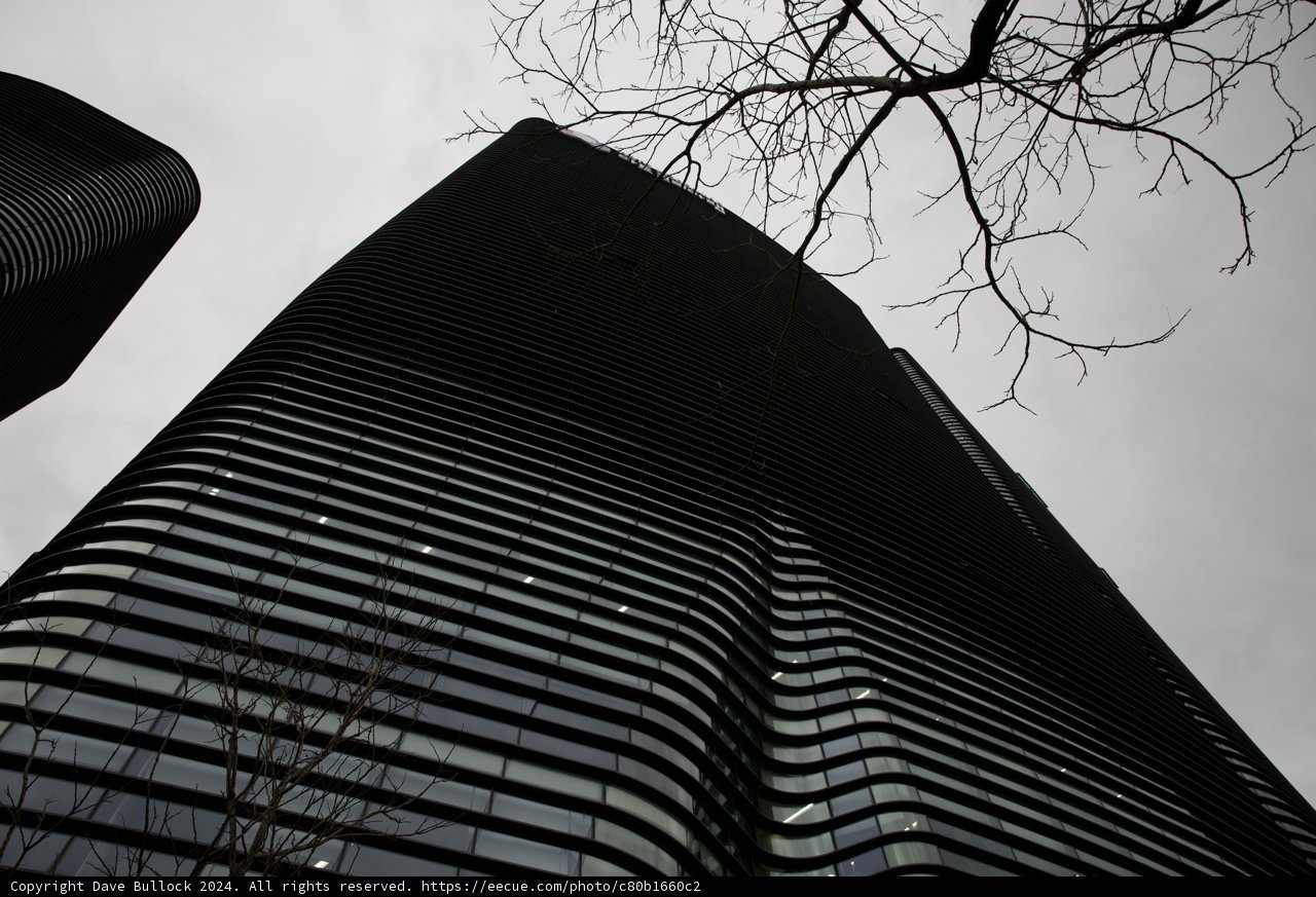 'Urban Elegance: The Melody of Concrete and Greens'