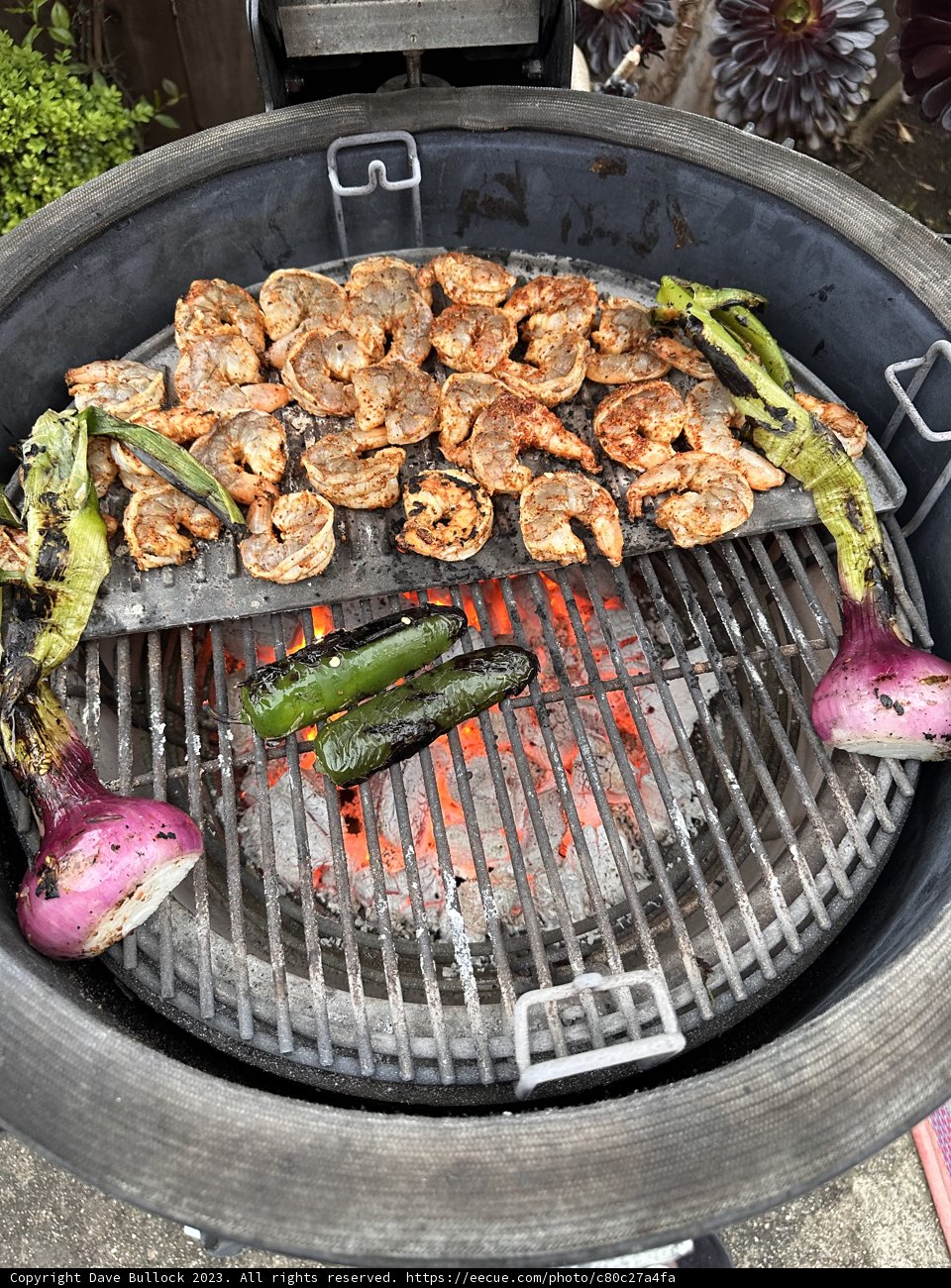 The Ultimate BBQ Feast
