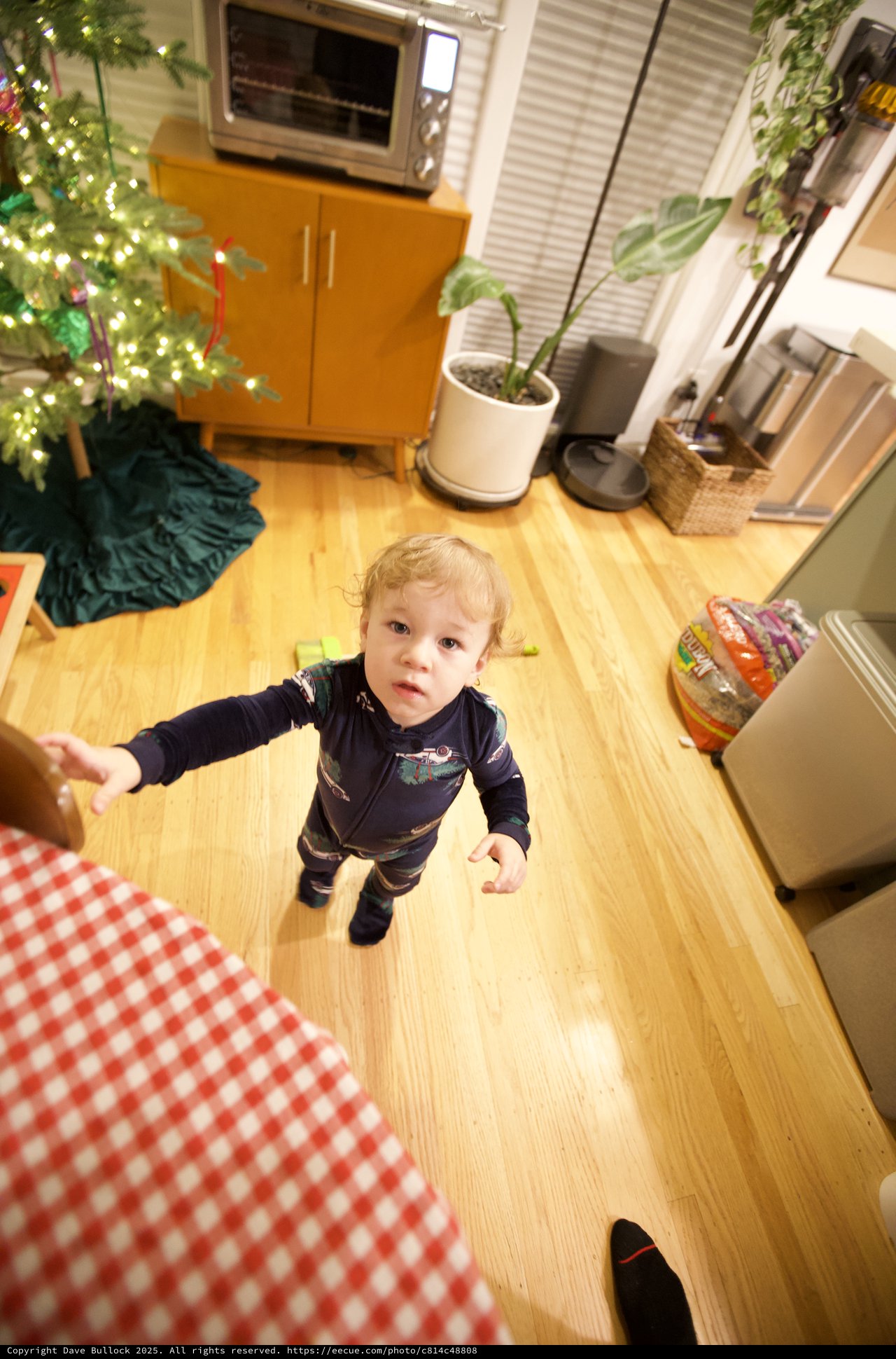 Toddler Reaching Out on Christmas Morning