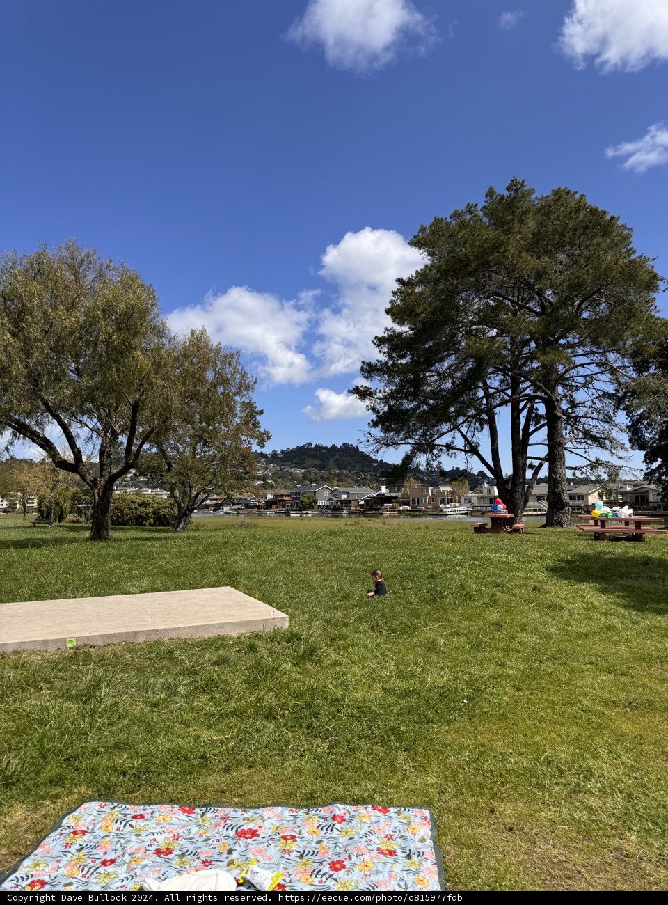 Afternoon at Larkspur Creek