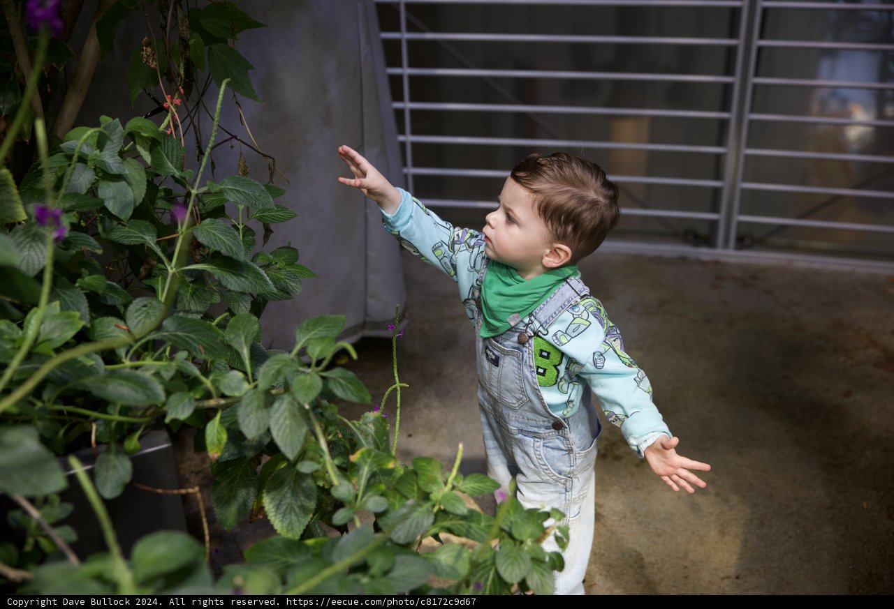 Young Discoverer in the Verdant World
