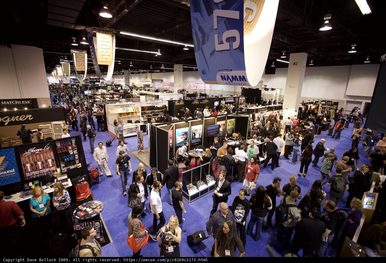 The Thrilling Convention Crowd