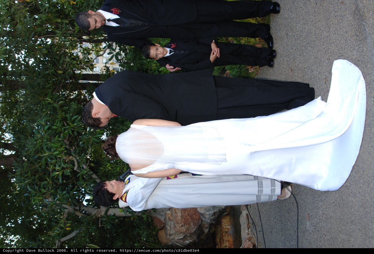 Bride and Groom Exchange Vows at Outdoor Wedding