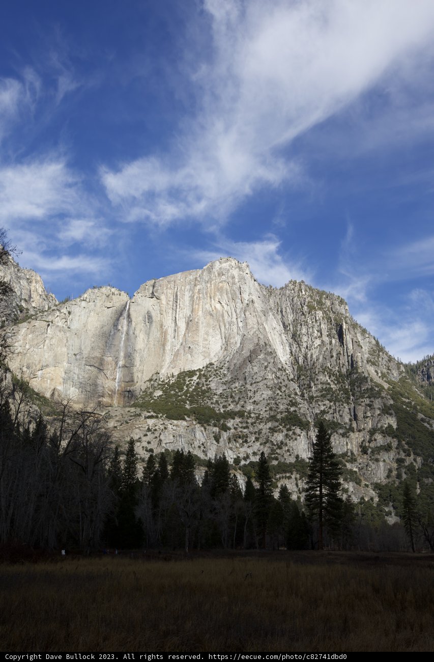 Majestic Brushes of Nature in Yosemite