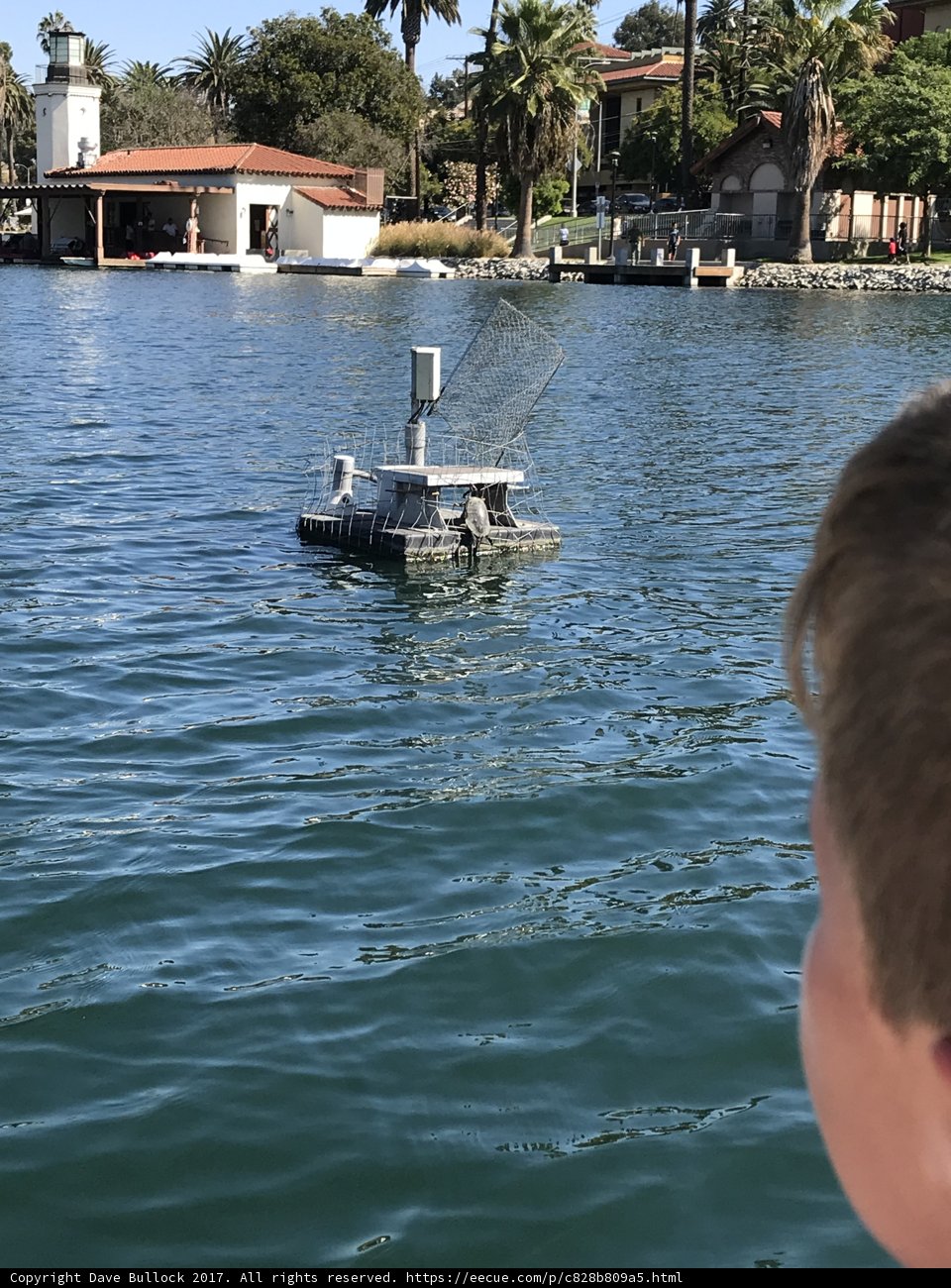 Waterfront Adventure
