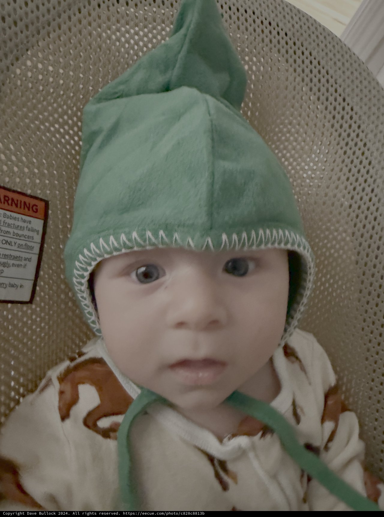 Baby in Green Elf Hat Hospital Portrait