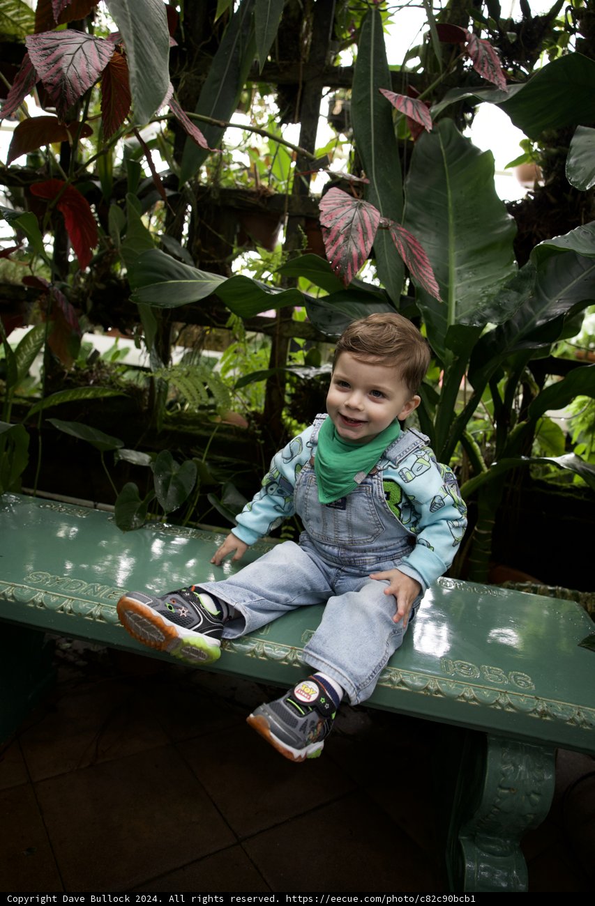 Serene Moments at the Conservatory of Flowers, 2024