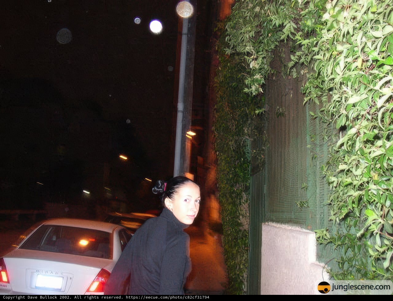 Night Stroll