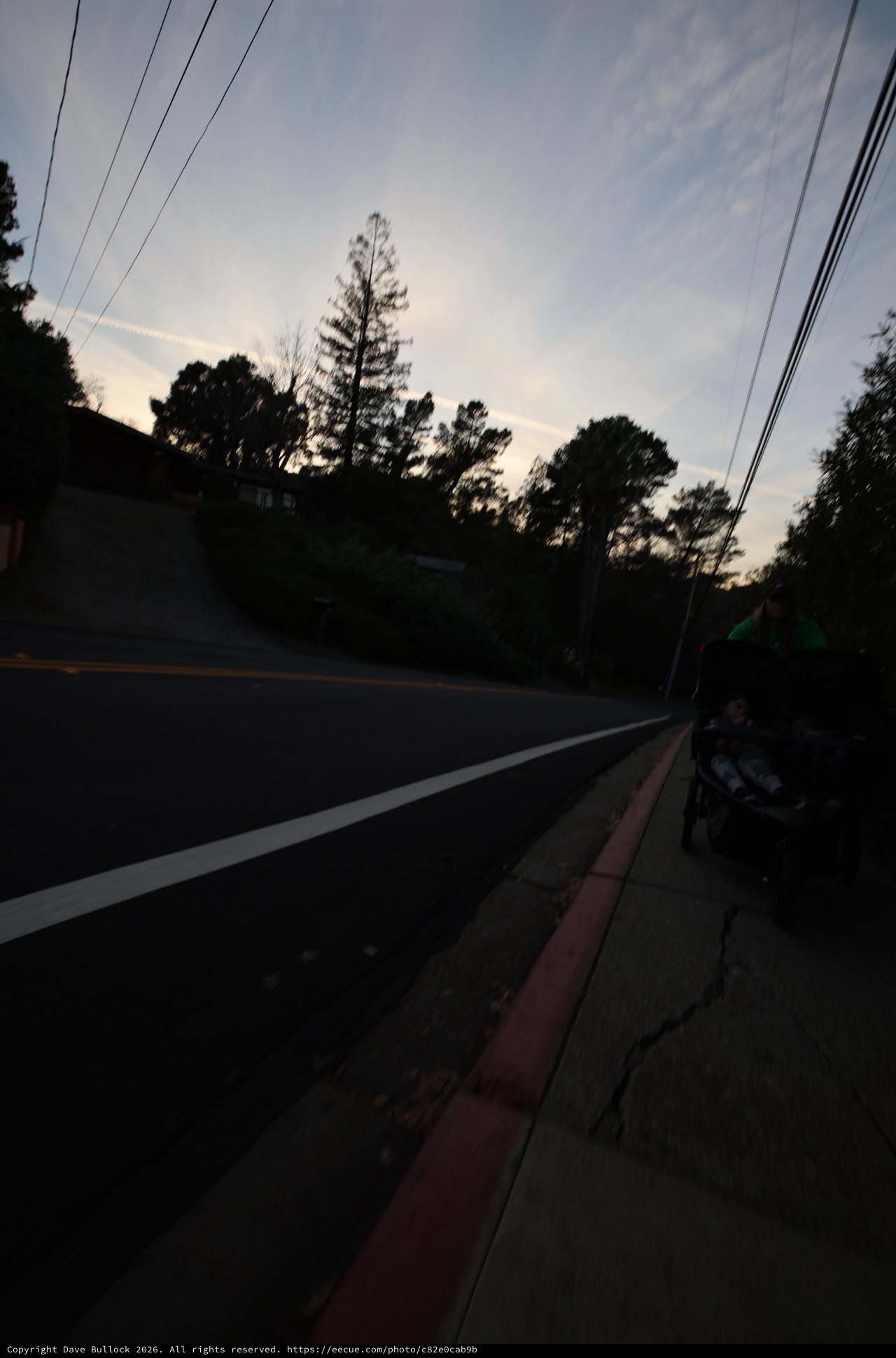 Dusk Road with Power Lines and Silhouetted Trees