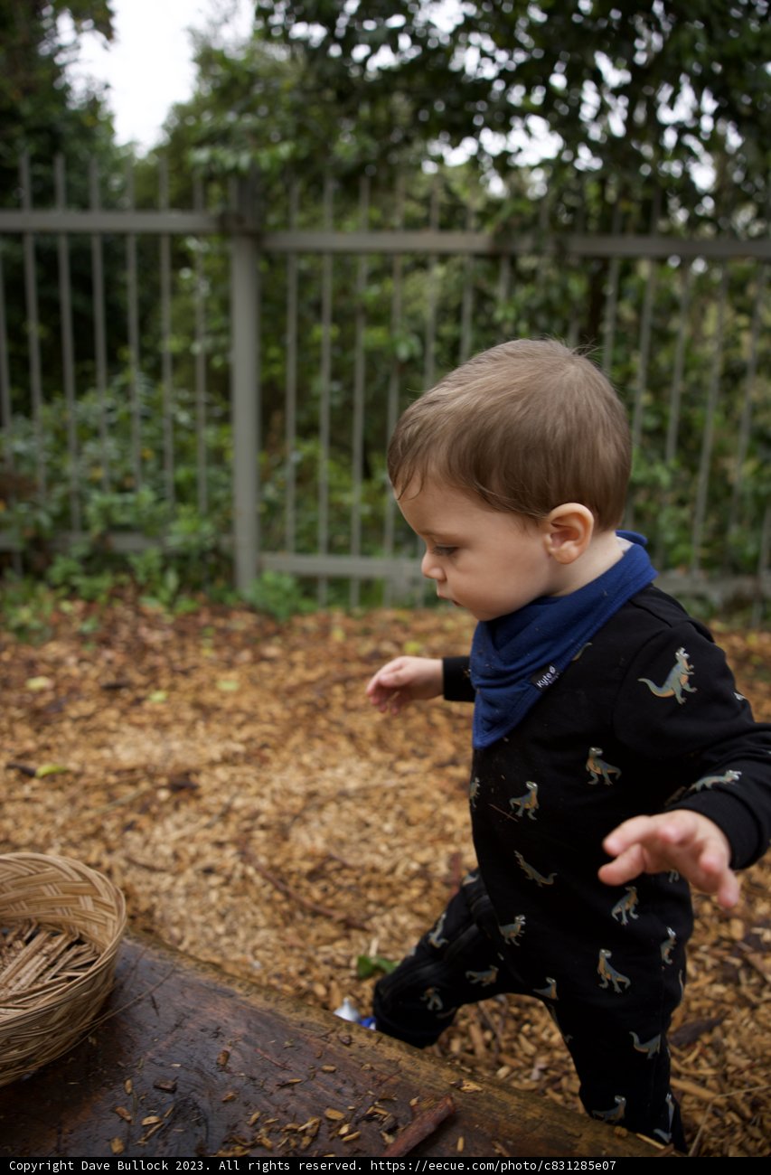 Autumnal Adventures in Golden Gate Park