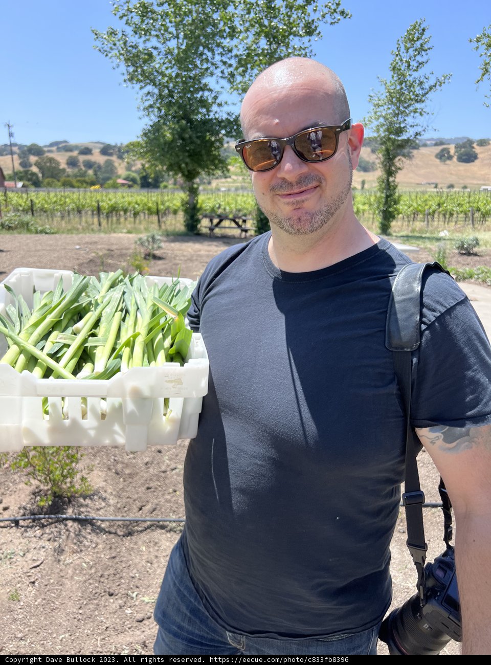 Fresh Harvest: A Day in the Field