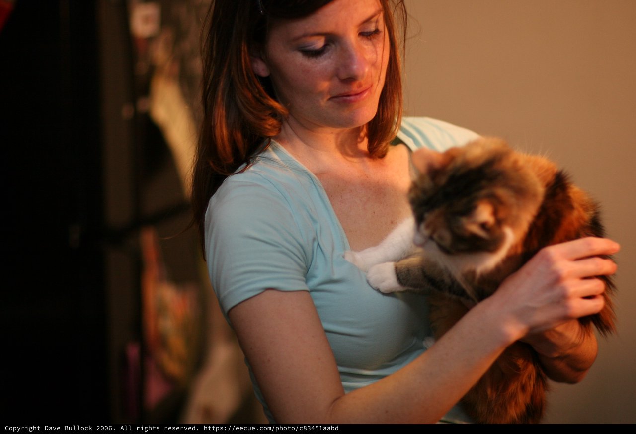 Woman Tenderly Holds Fluffy Cat in Warm Light