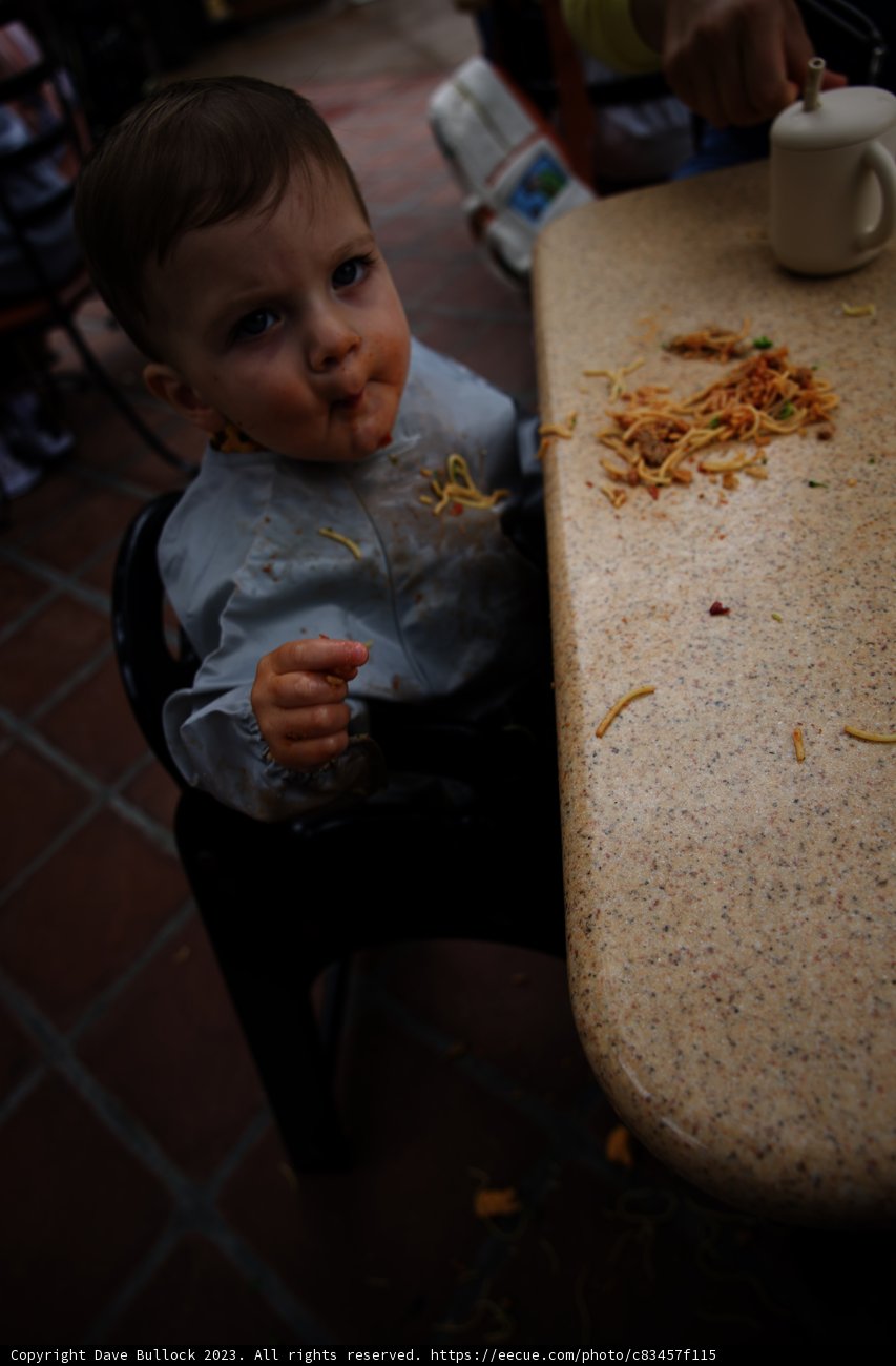 Little Foodie's Disneyland Adventure