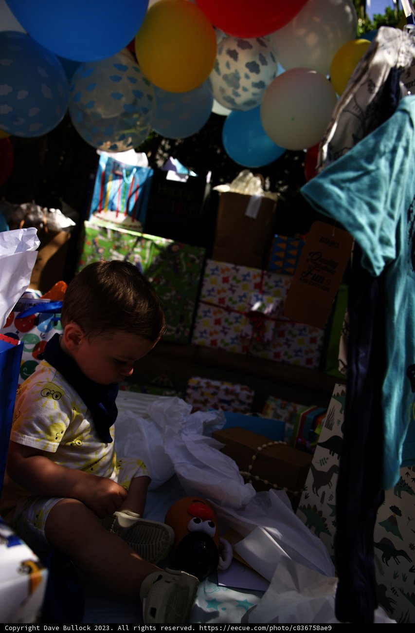 Wesley's First Birthday - A Moment of Wonder