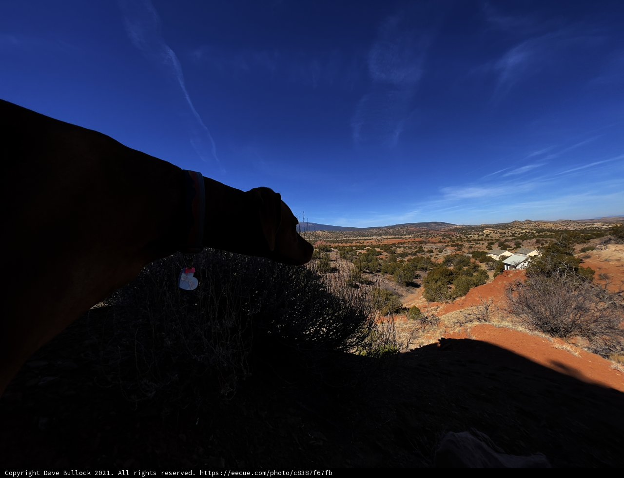The Majestic View