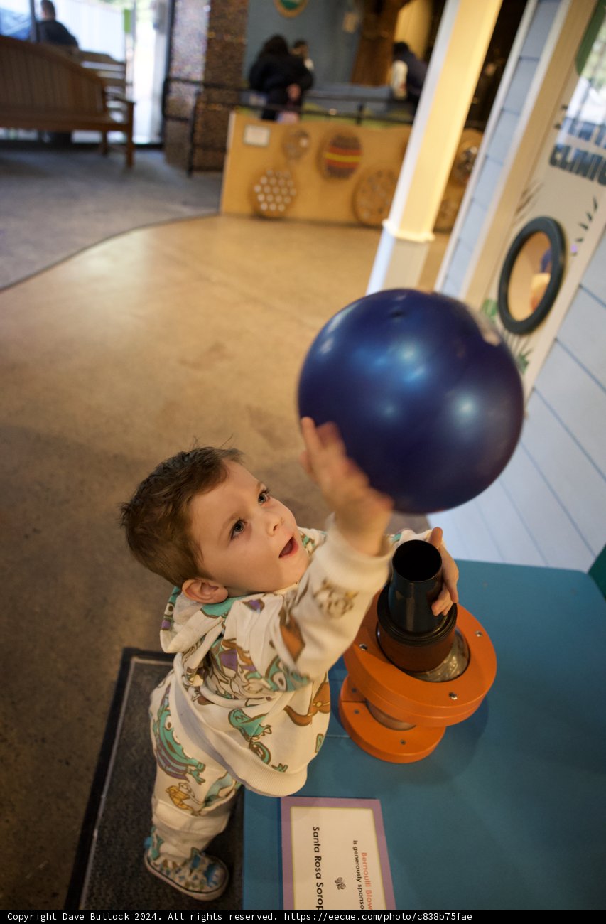Museum Magic: A Child's Wonder