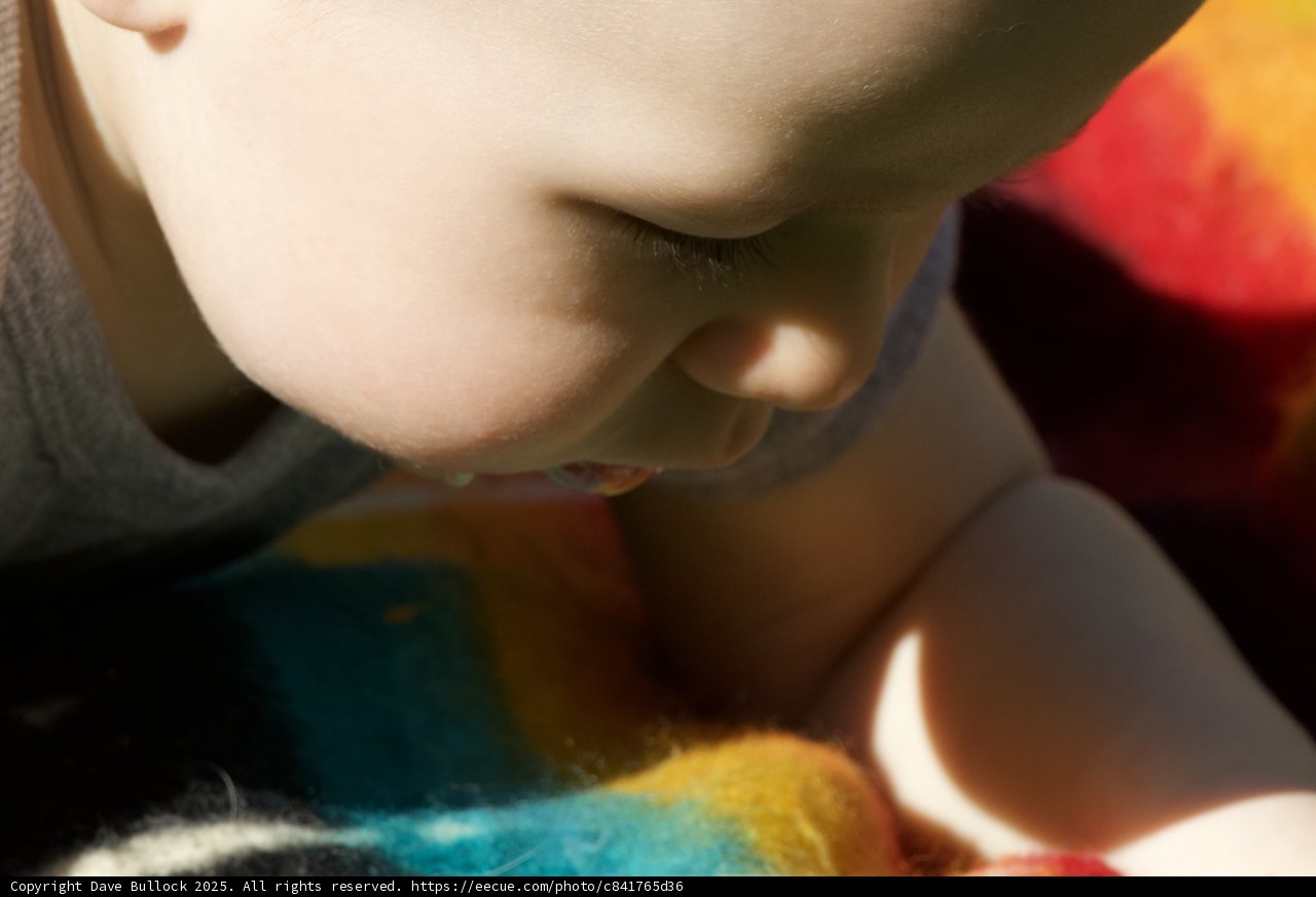 Innocence Illuminated