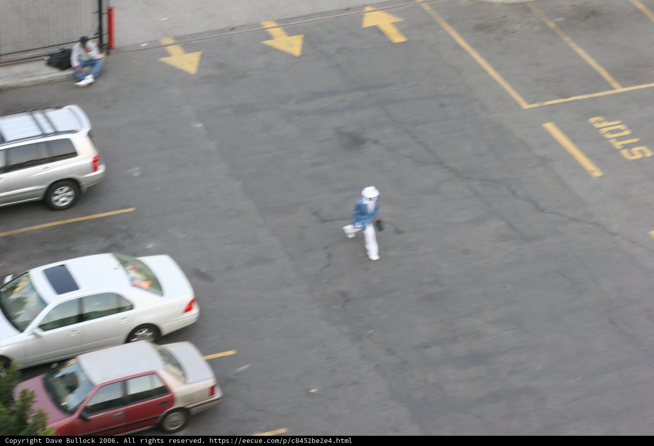 Solo Stroll through the Parking Lot