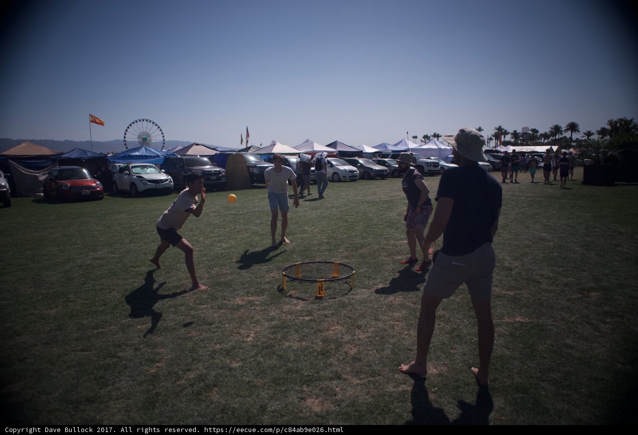 Frisbee Fun on Coachella's Grass Field
