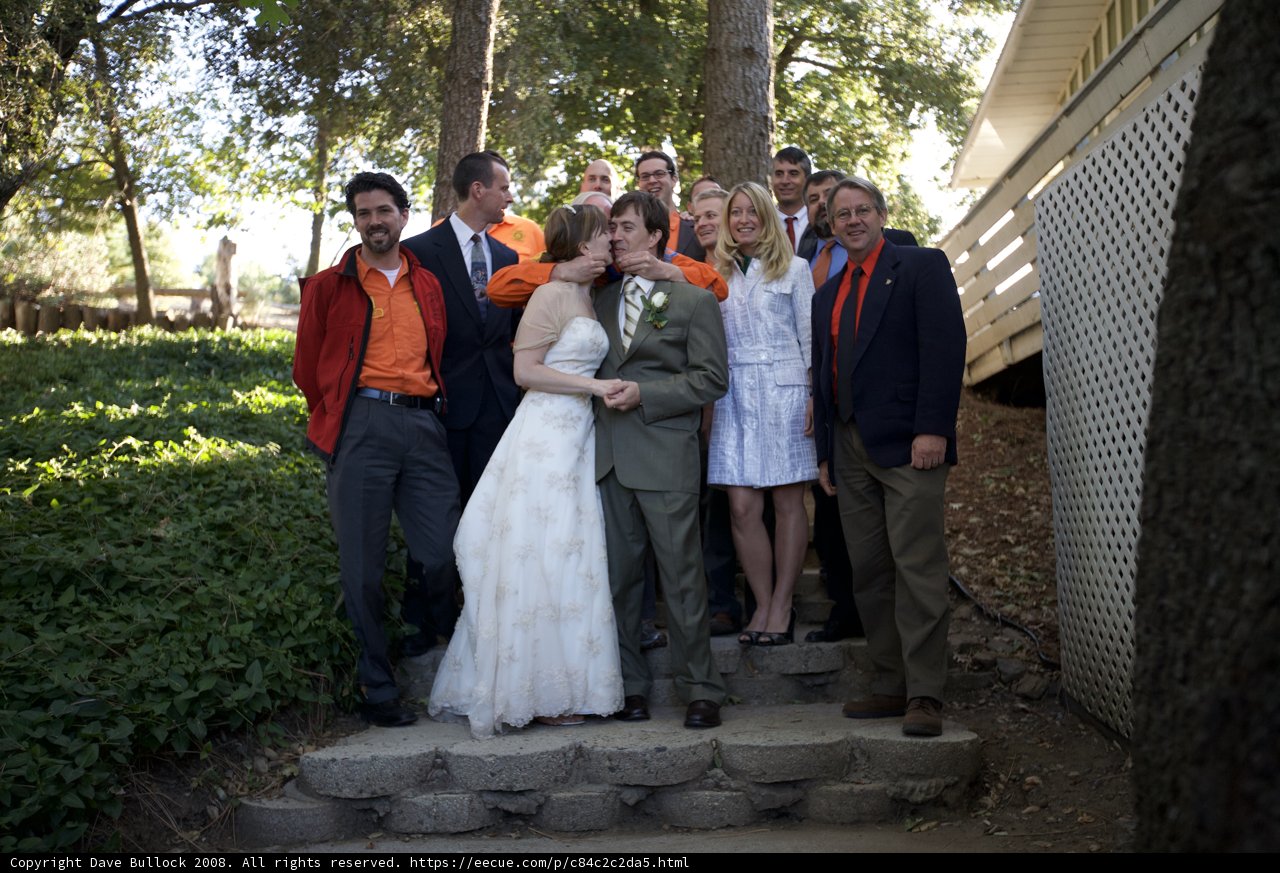The Truitt Wedding Party