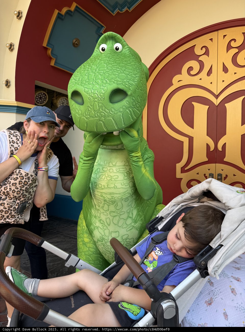 Dino Delights at Disney