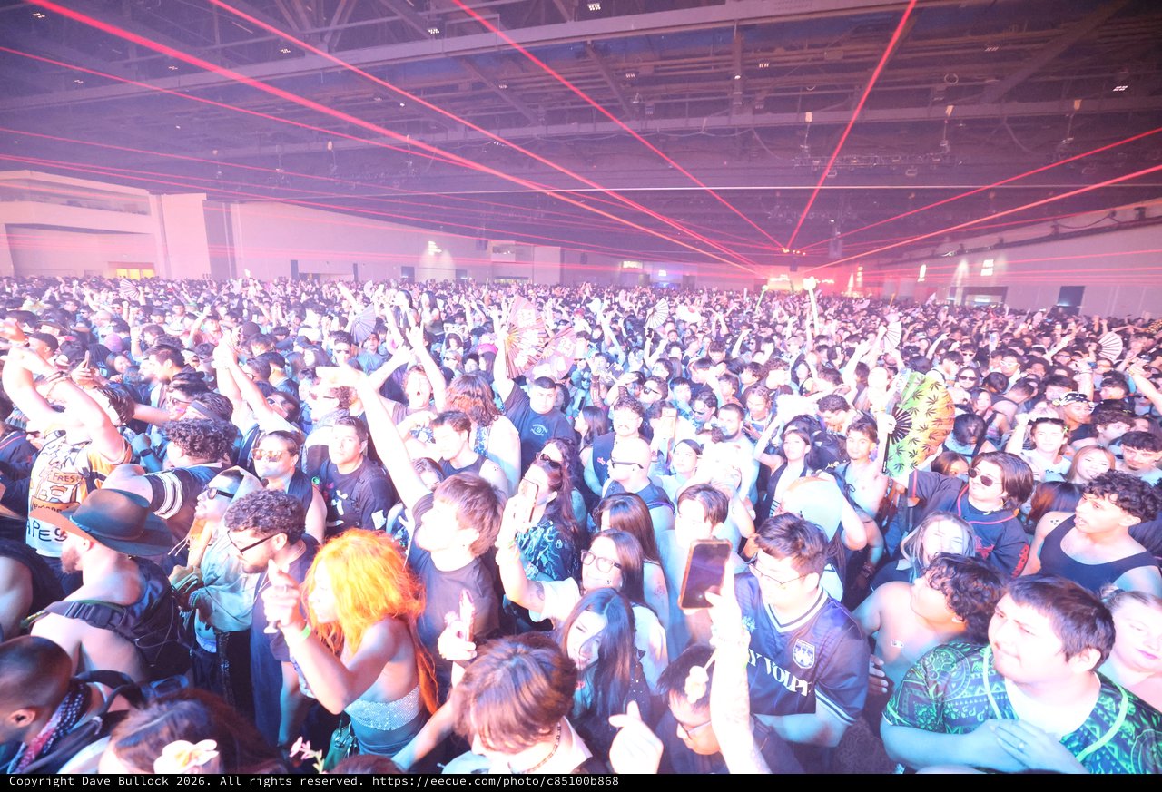 Massive Crowd Surges at Wobbleland 2026 Rave
