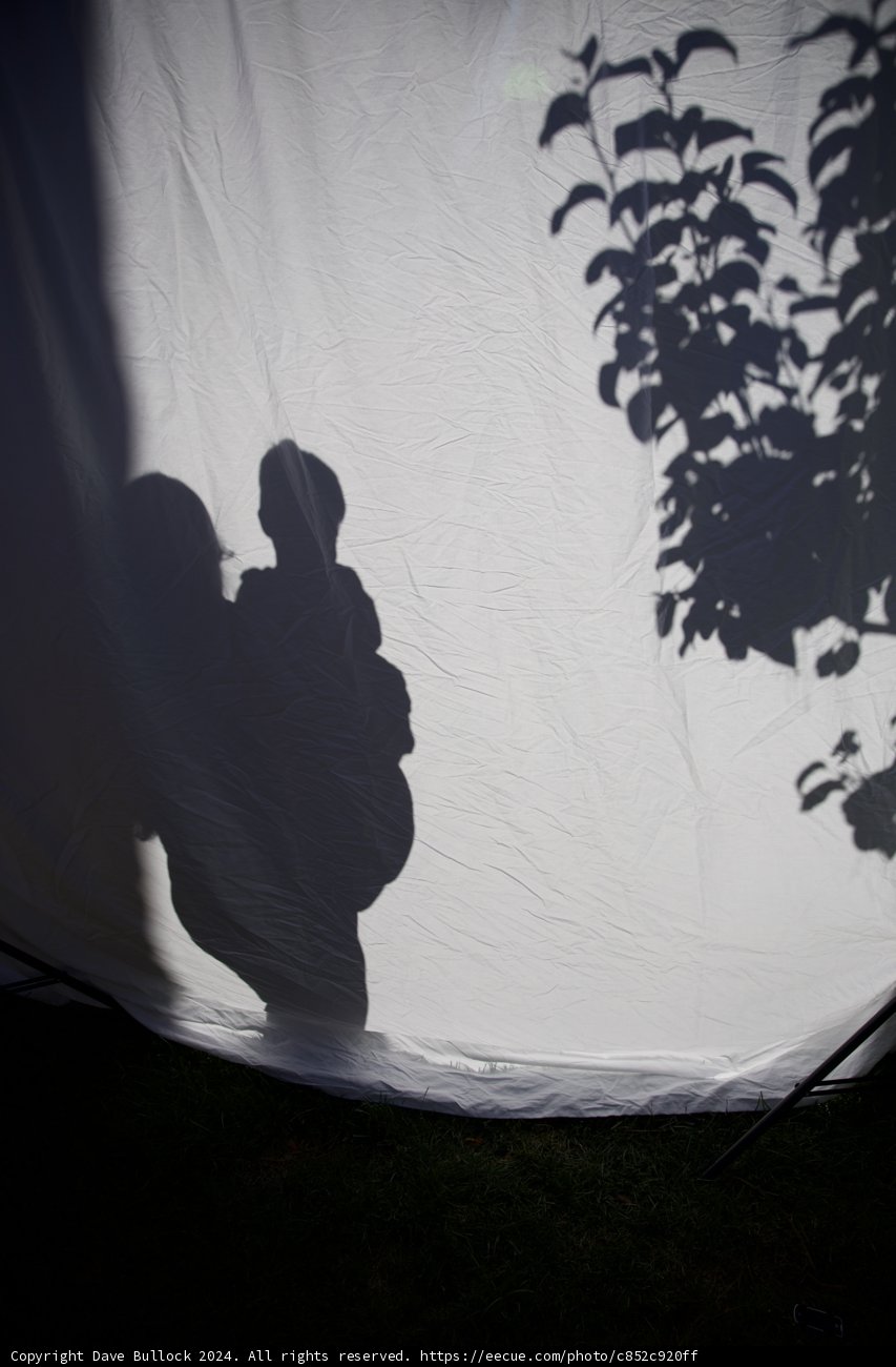 A New Life in Shadows