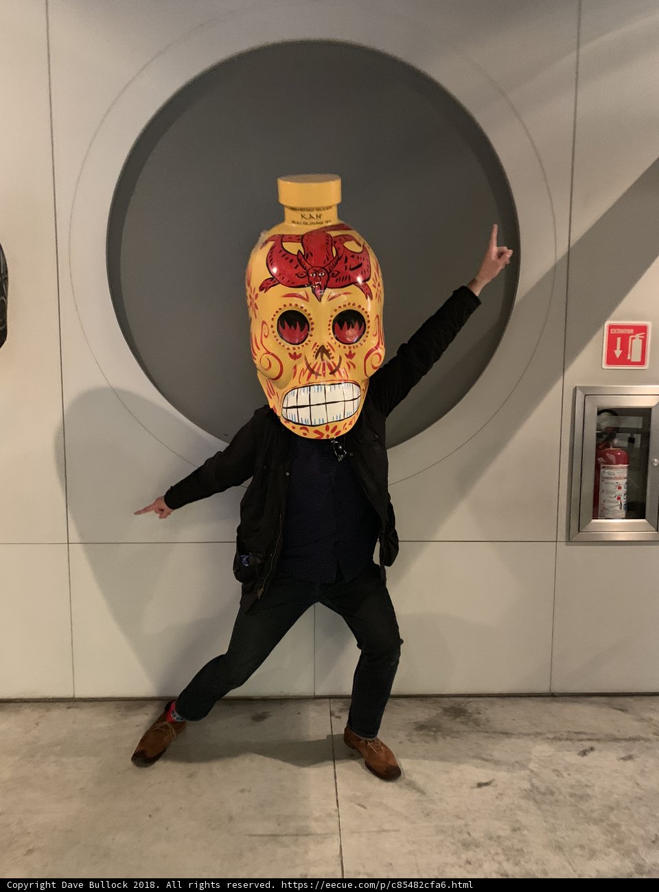 Sugar Skull Masquerade