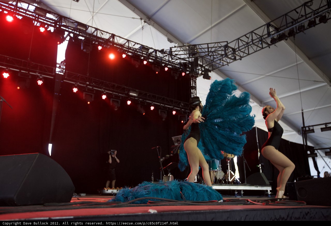 Blue Feathered Duo Shines on Stage
