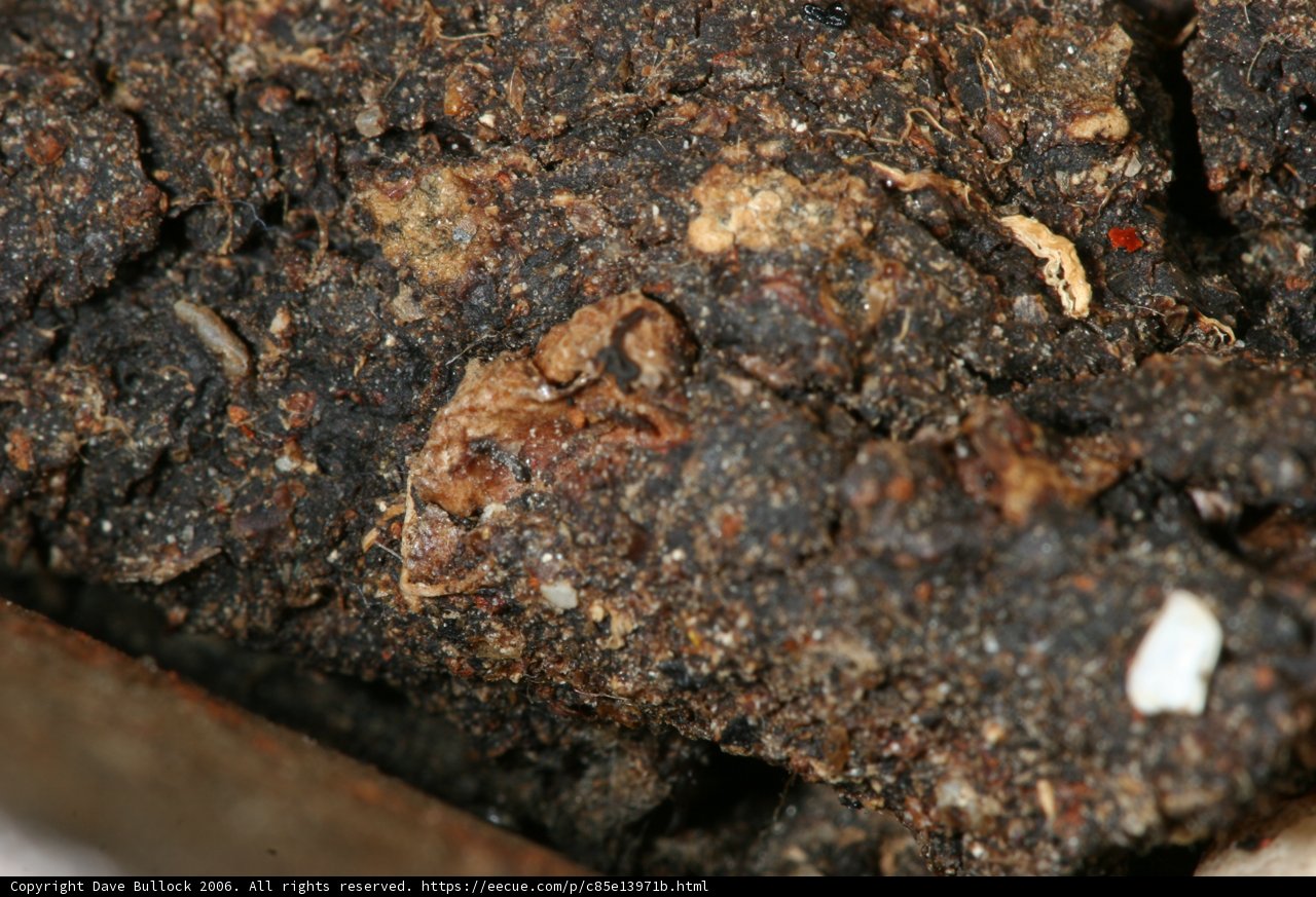 Soil Mountain