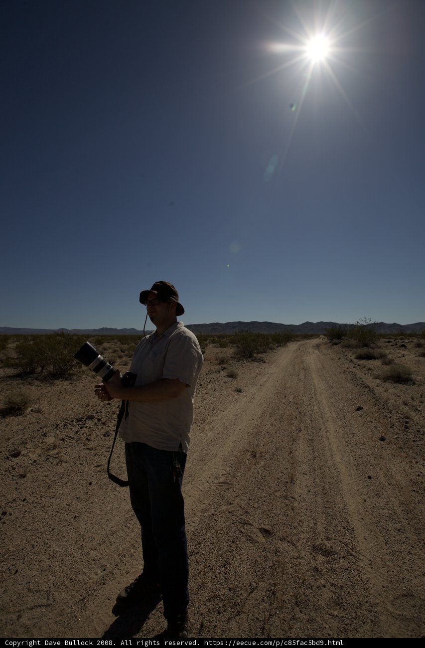 Photographer's Flare in the Desert