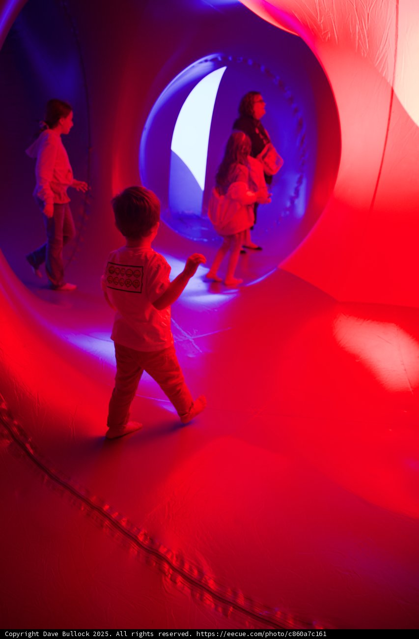Immersed in Light