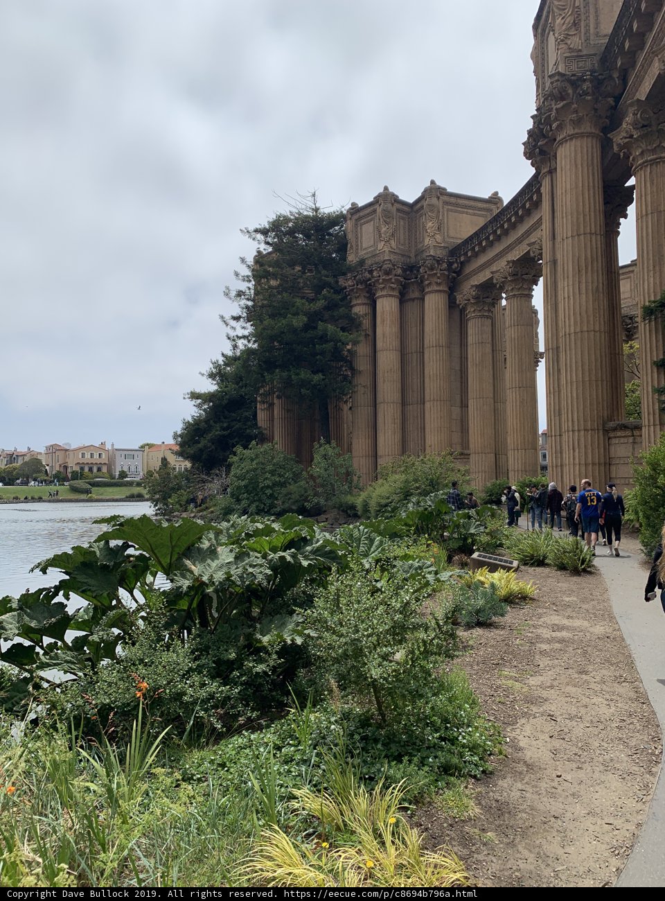 Water Path Walk