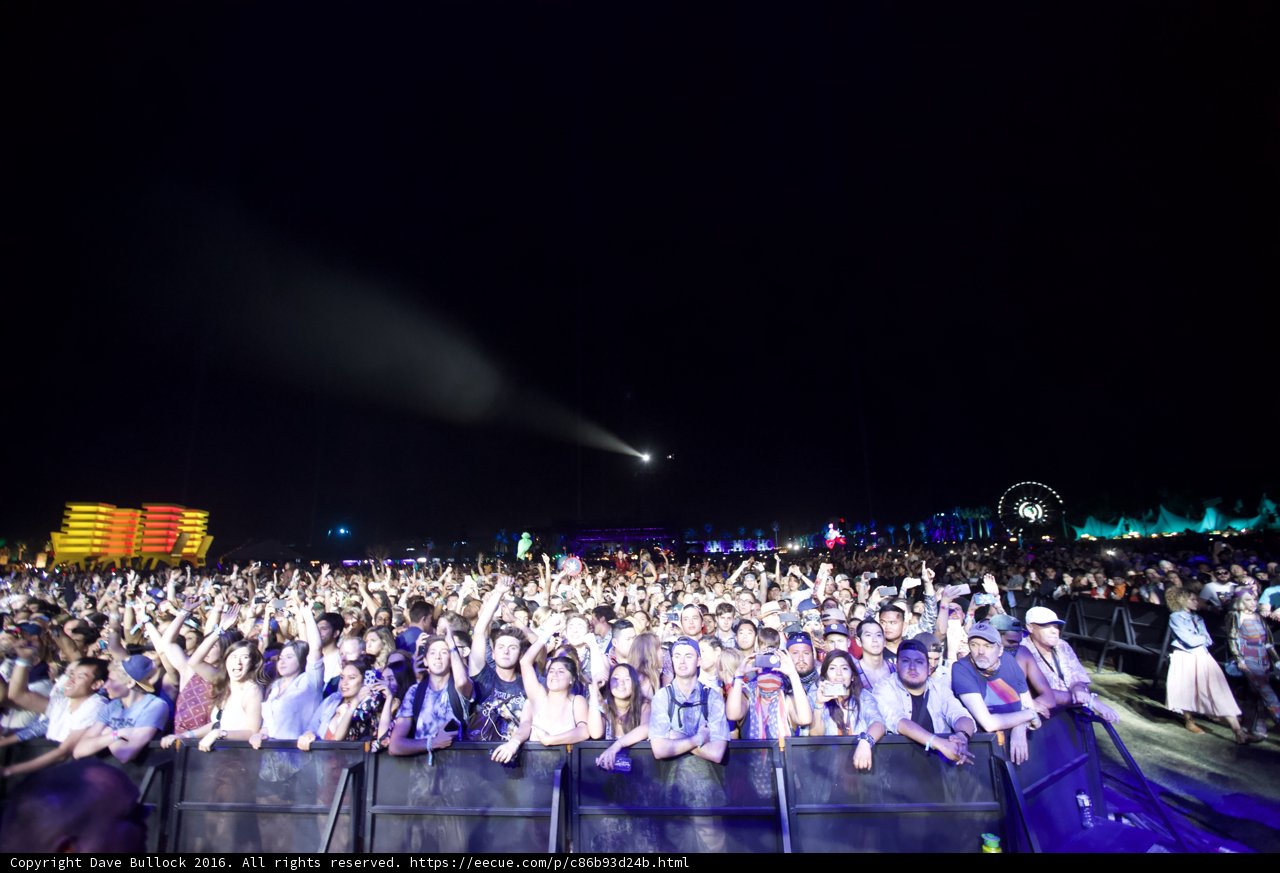 Electric Crowd at Coachella