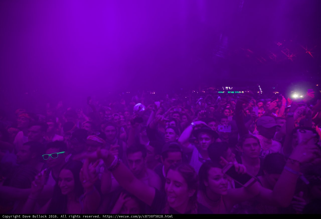 Purple Haze Concert