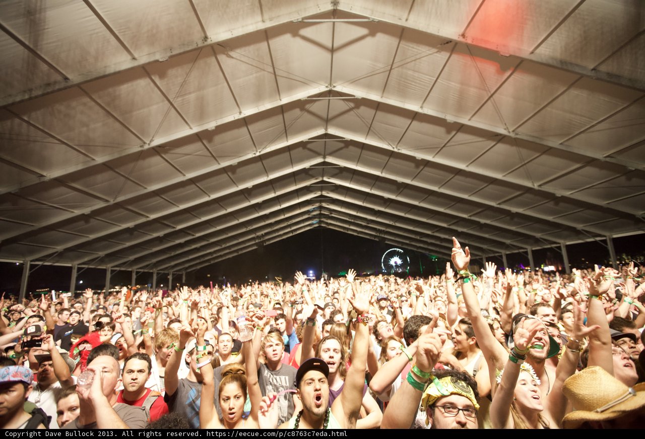 Coachella Crowd Goes Wild