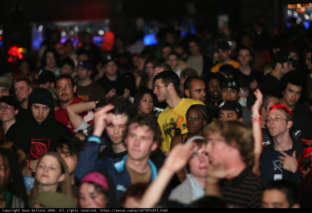 The Ultimate Nightlife Experience
