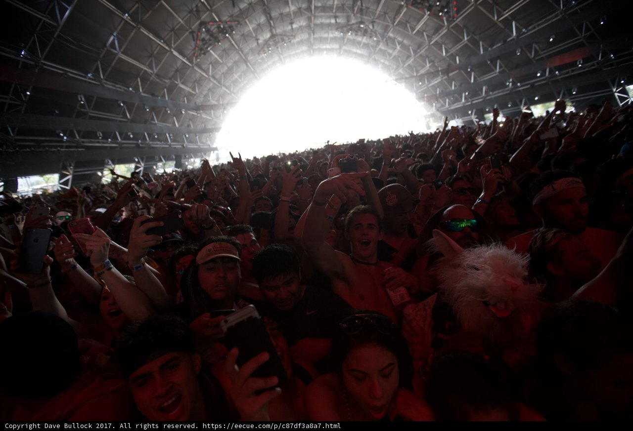 Hands Up in the Crowd