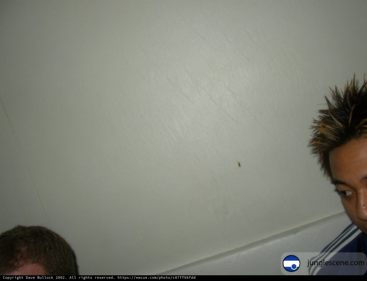 Spiky Hair Against the Wall