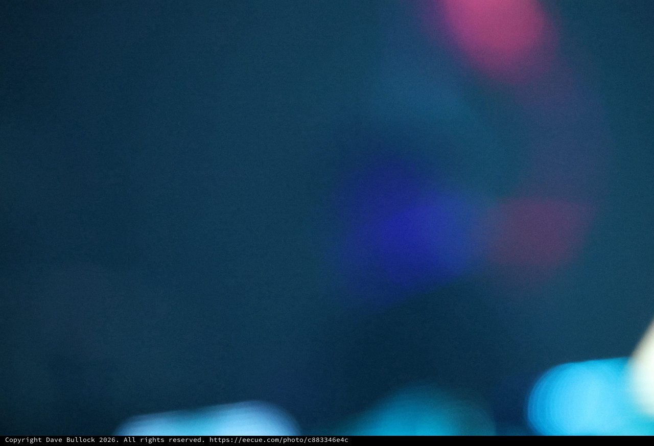 Neon Bokeh Lights at Wobbleland Festival 2026