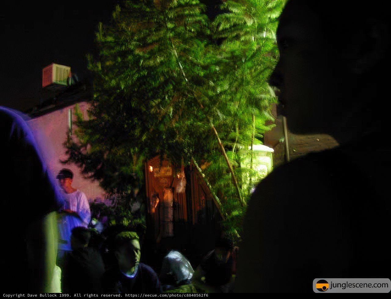 Nighttime Gathering around a Rainforest Tree