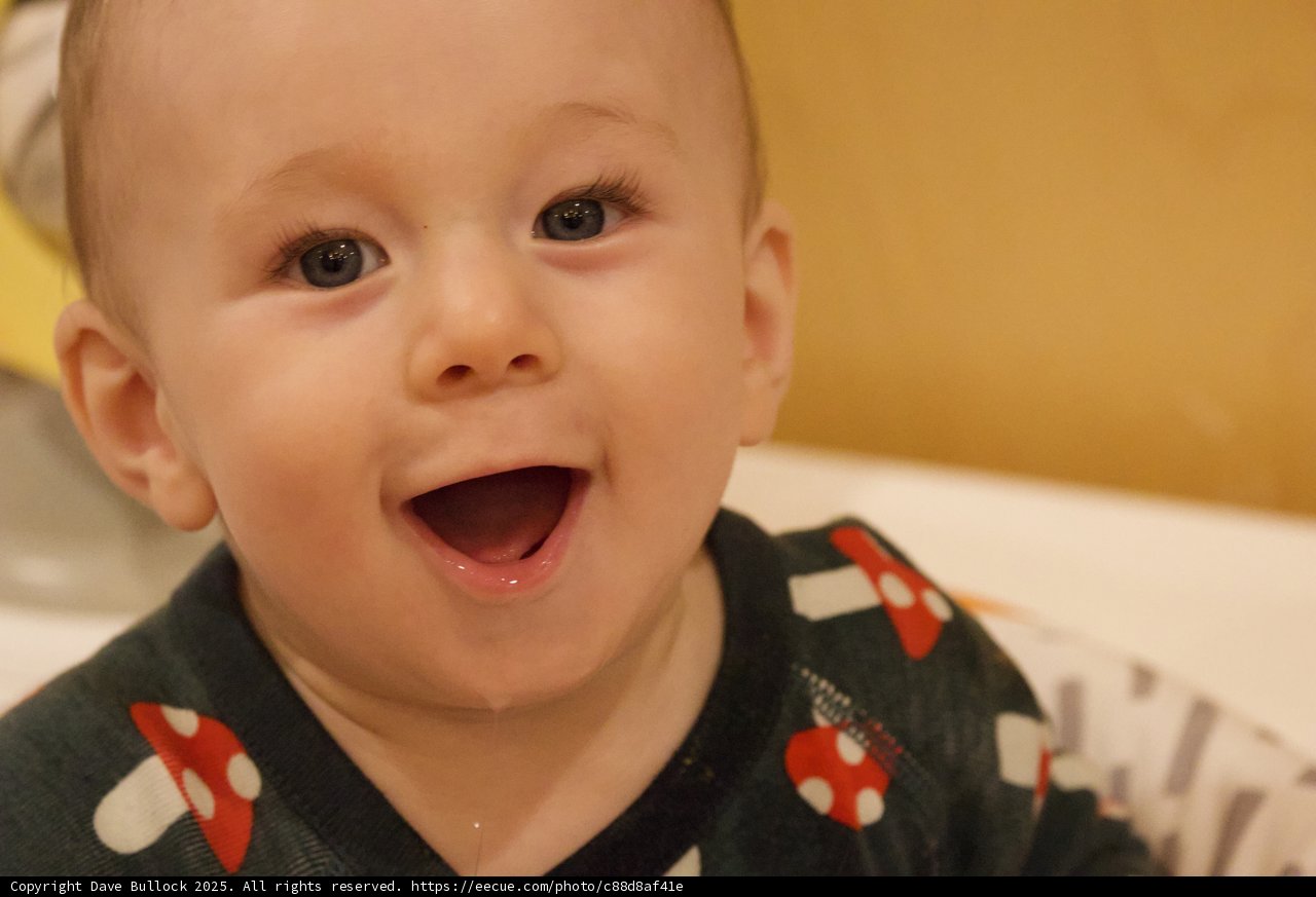 Pure Joy