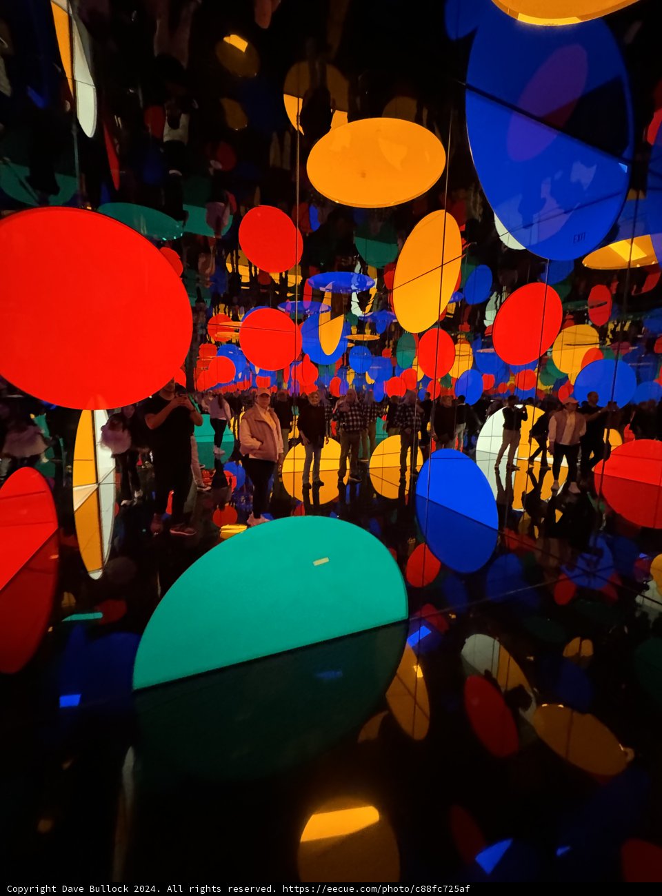 Urban Colors: The Umbrella Installation