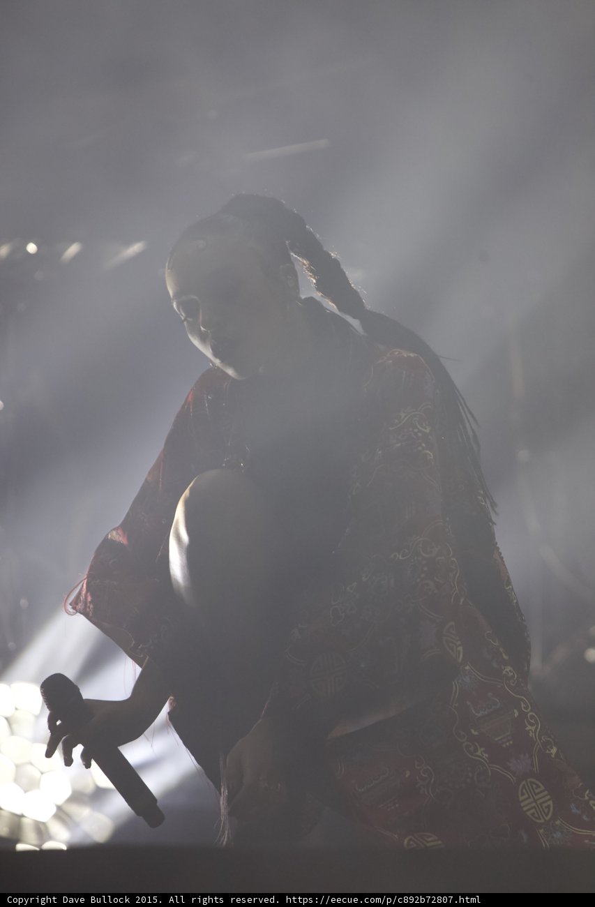 FKA twigs Silhouette Portrait Profile Ponytail Microphone Low Red Brocade Kimono Backlit Intimate