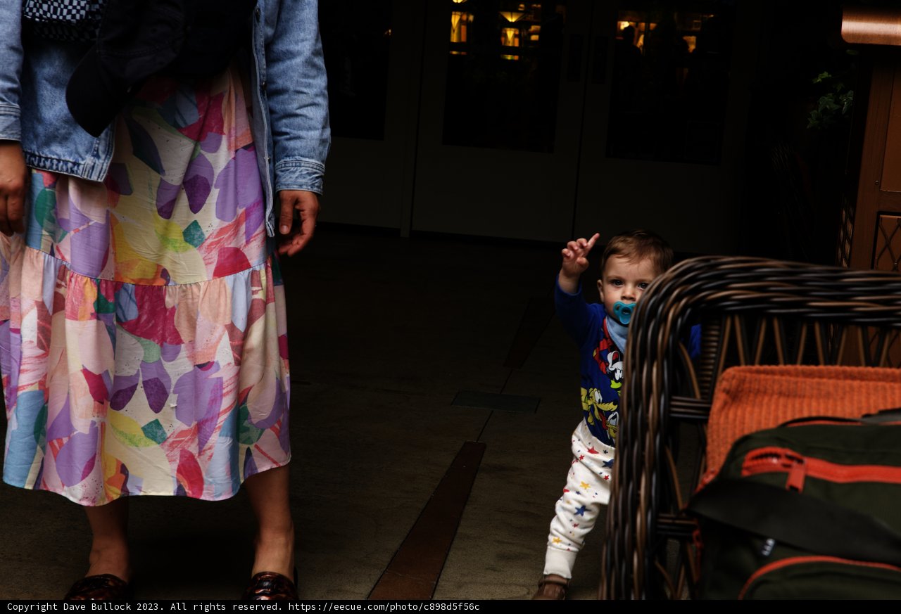 Cherished Moments at Disneyland