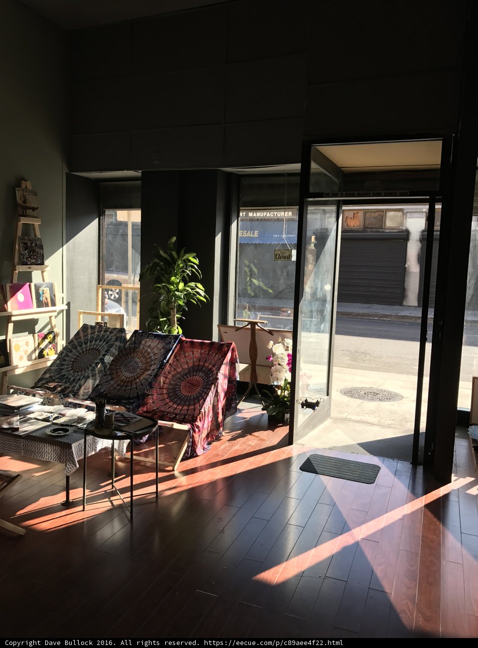 Homey Living Room Setup