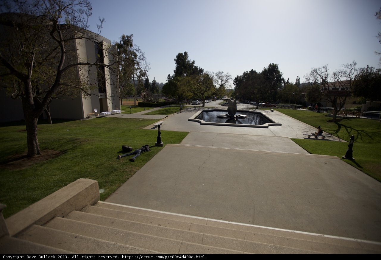 Serene Courtyard